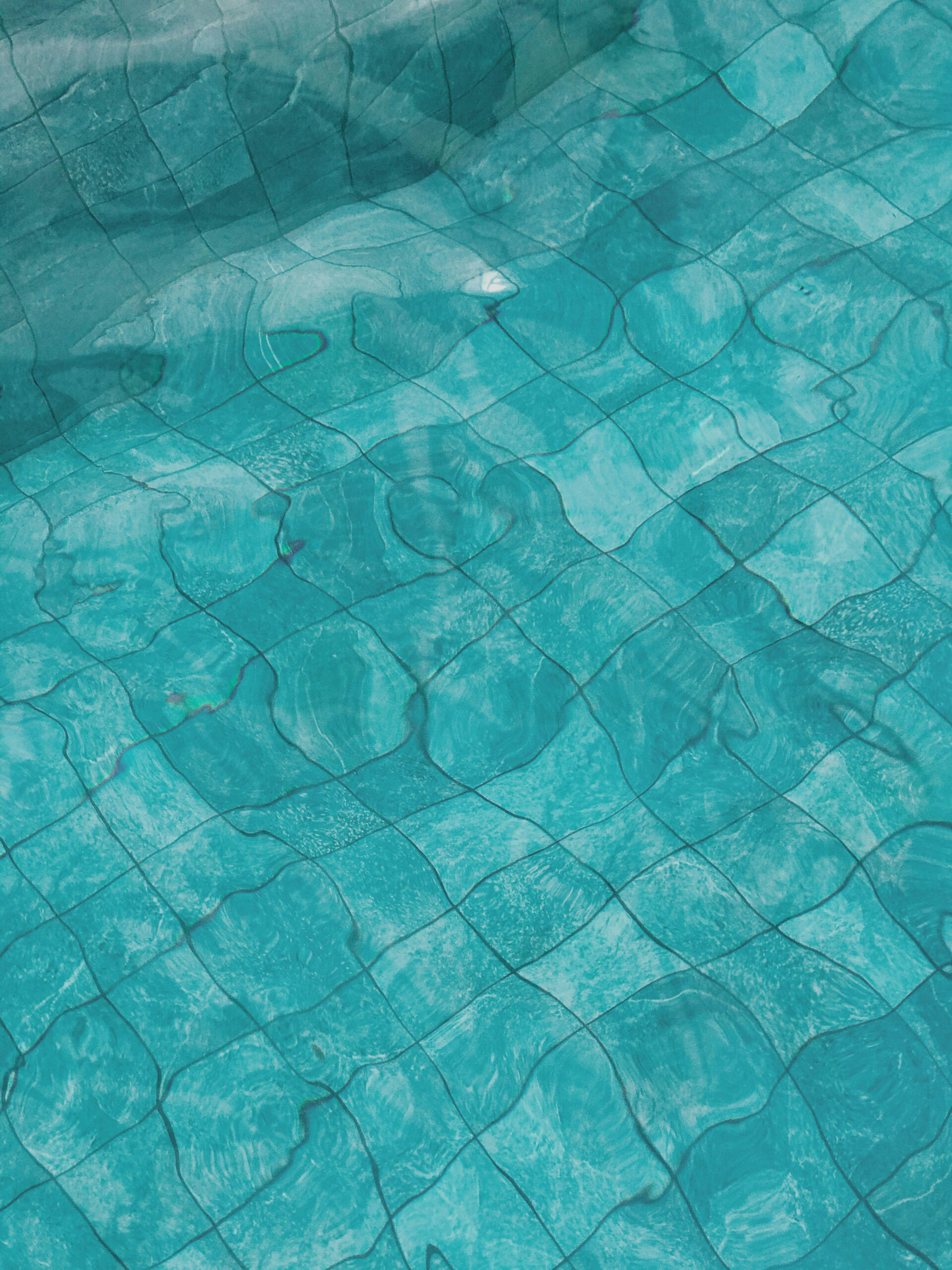 maria-fernanda-pissioli-6BOGBGy2-sU-unsplash